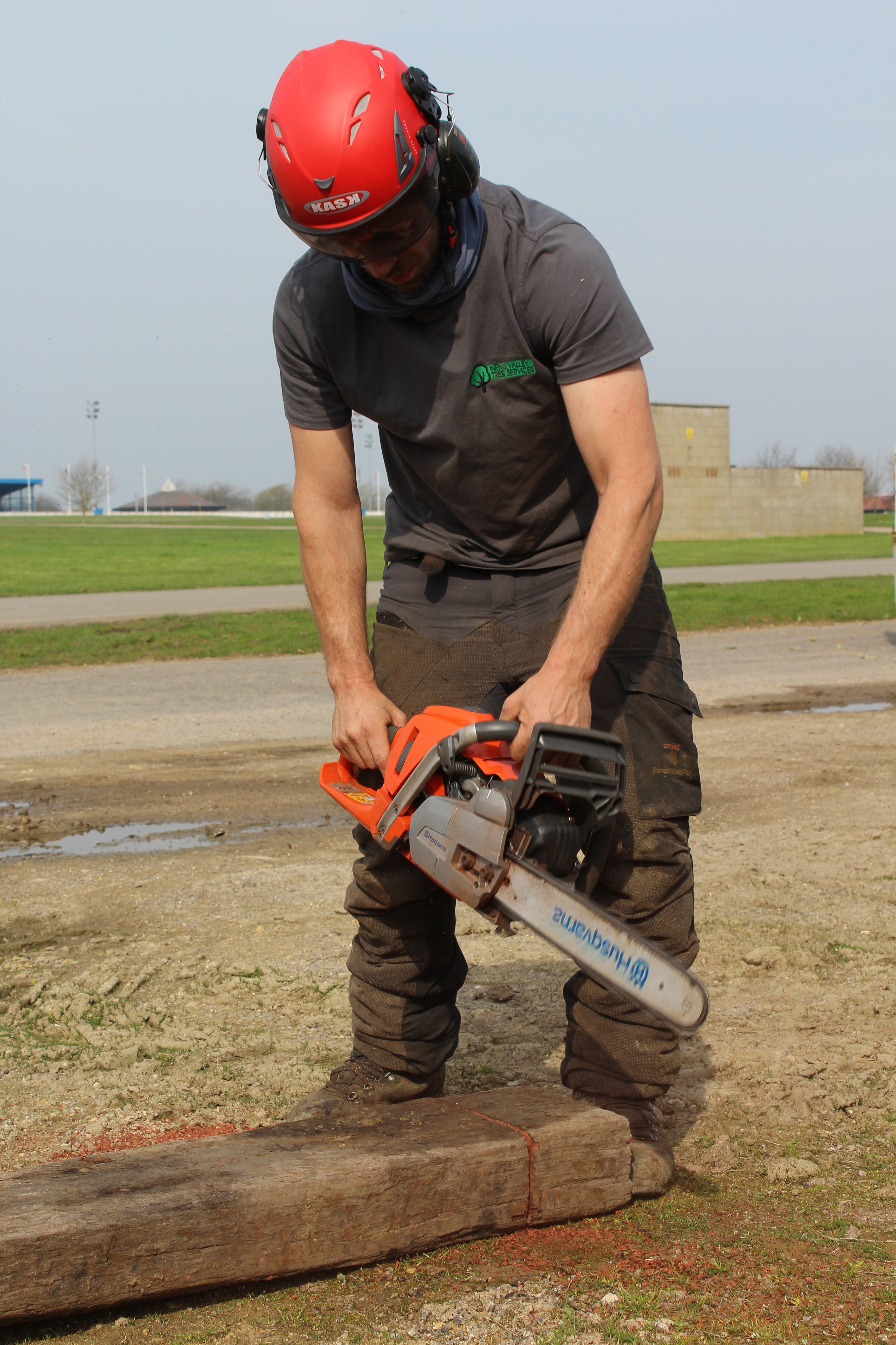 Tree cutting services in Peterborough